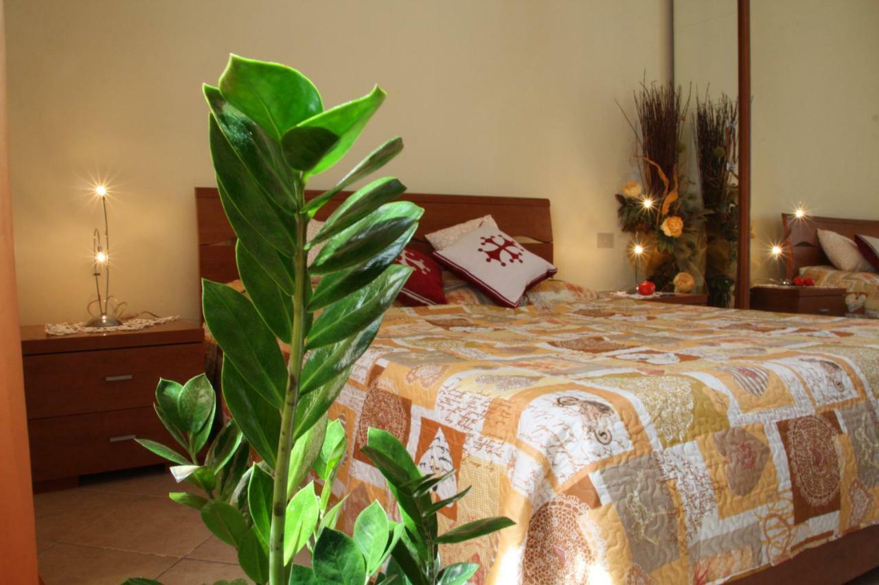 Pisa Town Bed and Breakfast Zewnętrze zdjęcie